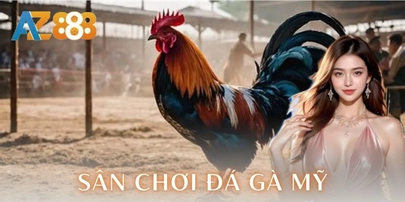 Sân chơi đá gà Mỹ - Trải nghiệm cược đỉnh cao kịch trần 3 Chiến thuật cược trong sân chơi đá gà Mỹ