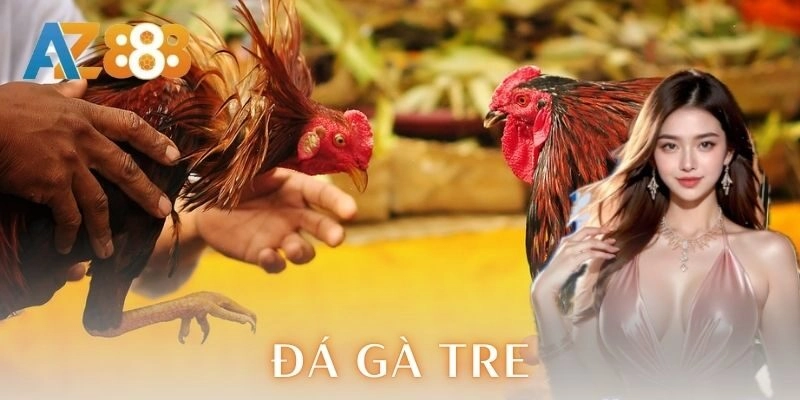 Đá gà tre - Chiến thuật và mẹo cược đỉnh cao cho anh em 2 Chiến thuật đá gà tre hiệu quả