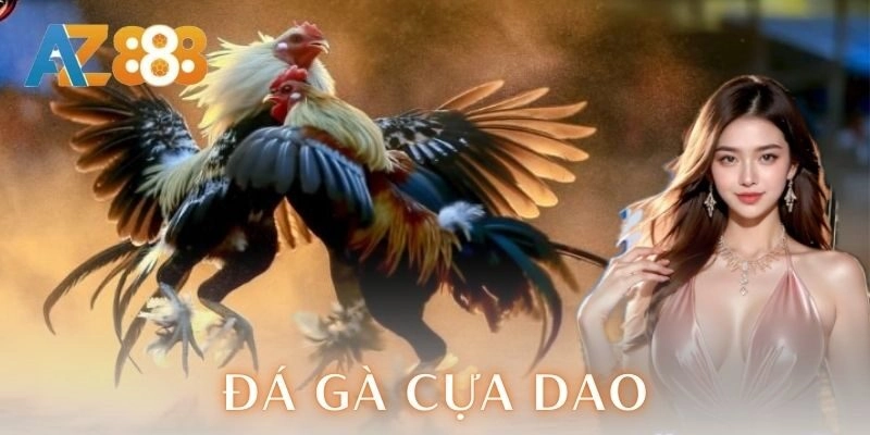 Đá gà cựa dao là gì?