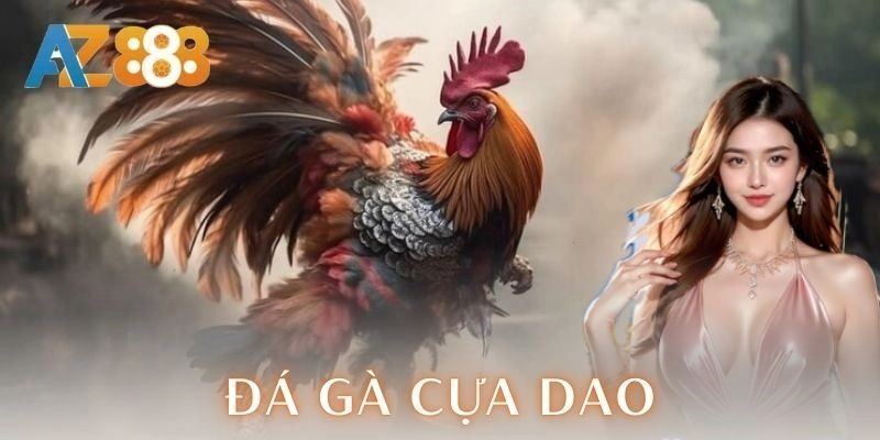 Đá gà cựa dao | Trận chiến kịch trần của dân chơi