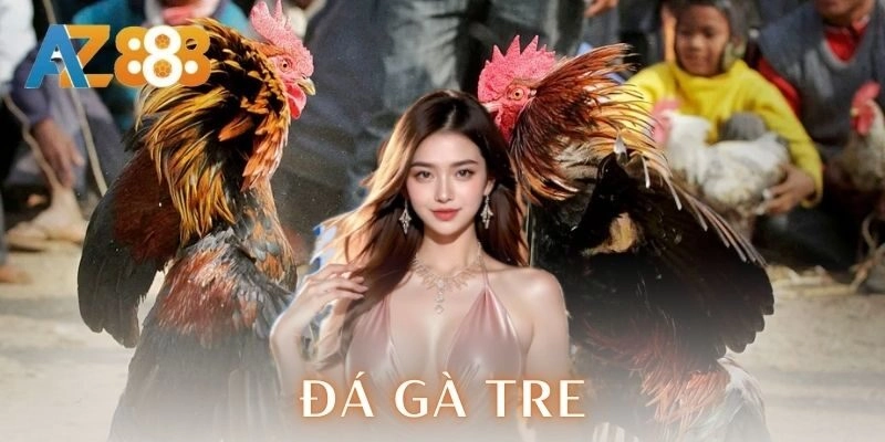 Đá gà tre - Chiến thuật và mẹo cược đỉnh cao cho anh em 3 Kinh nghiệm chơi cá cược đá gà tre